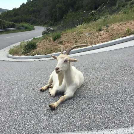 Ornella - Terrace Wifi Cozy - By Tgb