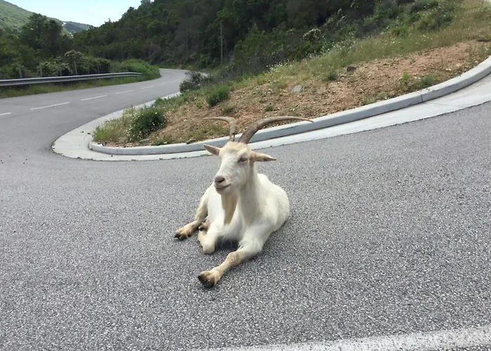 Ornella - Terrace Wifi Cozy - By Tgb